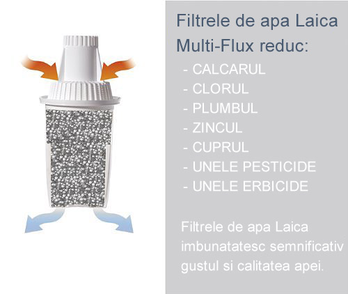 filtru apa laica multi-flux sectiune 